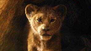 디즈니 실사 액션 ‘라이온킹’, 2019년 7월 개봉