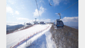 스키시즌이 돌아왔다…하이원 스키장 23일 오픈