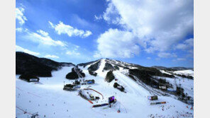 웰리힐리파크, 24일 스노우파크 개장…오픈 당일 다양한 이벤트