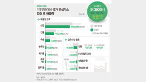 기상청 “한반도 이산화탄소 증가량, 지구 평균보다 높아”