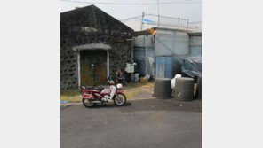 “돌아가신 아버지가 찍혔어요”…누리꾼 울린 로드뷰