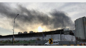 [속보]대구 팰러트 제조공장에 화재…대응1단계 발령