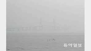 미세먼지도 고마울 때가 있다고? 결코 유쾌하지 않은 역설