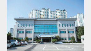 시니어 드론 강사·도그워커… 고령화 바람 타고 새로운 노인일자리 솔솔