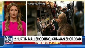 美블랙프라이데이 앨라배마 쇼핑몰 총격사건…2명 부상