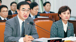 단독행동 경고받은 靑, 트럼프에 ‘김정은 답방 OK 사인’ 기대