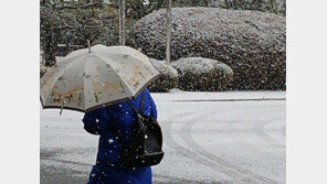 [날씨]24일 수도권 ‘첫눈’ 온다…대설특보 가능성