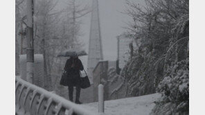 서울 첫눈 8.8㎝ 펑펑…적설기록 1981년 이후 역대 최대