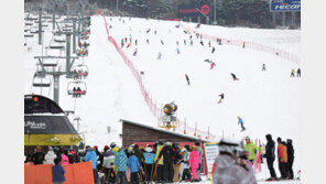 대설(大雪)이 반가운 강원…도내 스키장 잇따라 개장