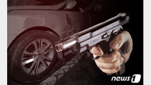 여성 운전자 겨눠 비비탄 발사…20대 집유