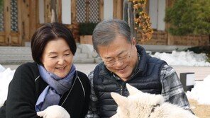 靑, 北 선물한 풍산개 ‘곰이’ 새끼 6마리 사진 공개…“아주 건강”