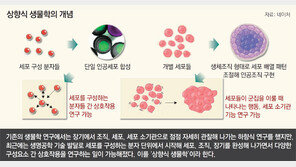 분자→세포→장기 순으로 연구… ‘상향식 생물학’ 뜬다