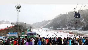 첫눈이 폭설… 이상한파 전조인가