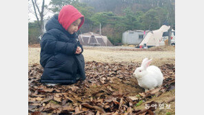 [고양이 눈]어떤 깨달음