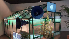 전시장 안 스마트팜… 농업과 예술이 만나다