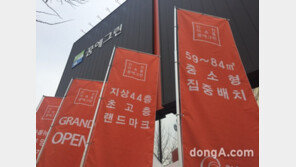 [부자동 현장]인천 원도심 변화의 첫 그림… ‘미추홀 꿈에그린’