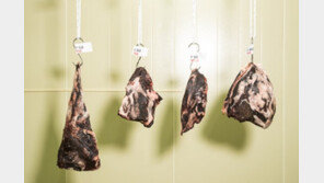 “질겨 국거리용으로 쓰였던 한우 저지방 부위, 건조 숙성땐 육질 연해져”