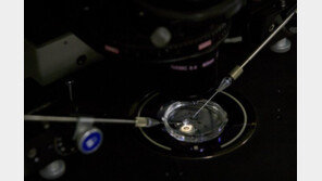 홍콩서 세계 최초 유전자편집 쌍둥이 출산…中연구자 주장