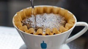 ‘커피업계 애플’ 블루보틀, 한국 시장 상륙…스페셜티 열풍 일으킬까