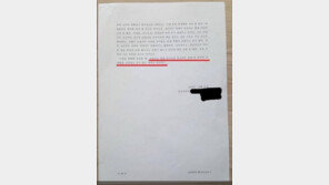 “‘이재명 형’ 이재선씨 조울증과 연관된 단서 없다”…2012년 임상심리사 보고서