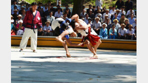 민속놀이 ‘씨름’ 유네스코 인류무형유산 첫 남북 공동 등재 