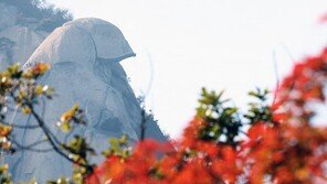 북한산 원효봉 오르던 40대 여성 추락사…“장비 없이 등반한 듯”