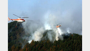 국방부 “DMZ내 산불헬기 투입…군사합의 이전과 절차 같아”