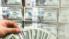 “달러 자산, 예금-채권-펀드에 분산을”