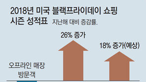 美 저소득층 닫혔던 지갑 10년만에 열렸다… ‘블프’쇼핑 열기