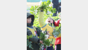 “와, 김장용 무를 뽑았어요”