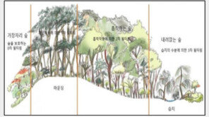 서울 노원구에 ‘도시숲’ 조성…연간 미세먼지 82㎏ 흡수