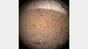 인사이트호, 화성 착륙 성공…확률 40%밖에 안 되는 이유?