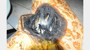 대전 아파트서 전기장판 과열 화재…12㎡ 그을음 피해