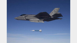 일본, F-35 스텔스 전투기 100대 추가도입 추진…“총 140대 배치”