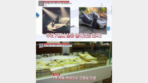 도끼 ‘돈자랑’식 엄마 빚 의혹 해명 후폭풍…“세무조사 해달라”靑청원까지