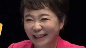 정미경 “이재명, ‘혜경궁 김씨’ 끝까지 안정 안 할 것…트윗 내용 때문”