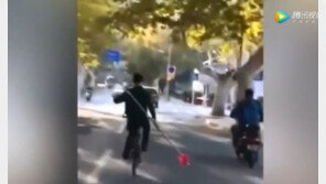 “나는 조자룡” 자전거 타고 창 휘두르다 ‘철창행’…왜?