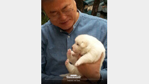 文대통령, 임실장도 함박웃음…풍산개 ‘곰이’ 새끼들과 인사