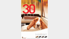 [2018 스포츠동아 광고대상] 컴포트 과학+허시파피 캐릭터…브랜드 연상 효과 UP