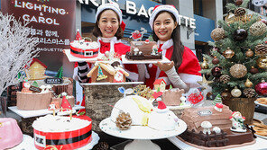 “크리스마스 케이크 나왔어요”