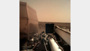 인사이트호, 화성의 속살에 ‘터치다운’… 불붙은 탐사 레이스