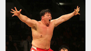 ‘유네스코 날개’ 씨름, 르네상스 오나