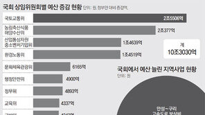 새만금 투자 지원 680억 추가… 울릉-흑산도 공항도 예산 챙겨