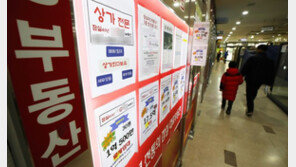 “은마같은 재건축이나 내렸죠”…견고한 전세시장에 집주인 ‘콧대’ 여전