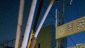 ‘음주 교통사고 뒤 도주’ 30대 운전자 검거