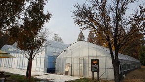  ㈜편농, 지능형 알고리즘 접목한 스마트팜 시스템  ‘팜워크’ 개발 완료