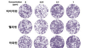  ㈜넥스젠바이오텍, 봉독 펩타이드 3종 화장품 원료 등록·특허 출원