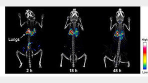 코로 들어온 미세먼지 60% 축적…입은 축적 없이 이 틀만에 배출