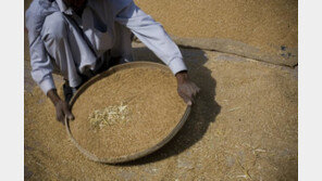 FAO “인류 먹고 살 수 있는 식량 공급, 점점 어려워진다”