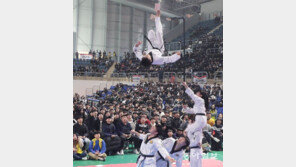 태권도 시범공연